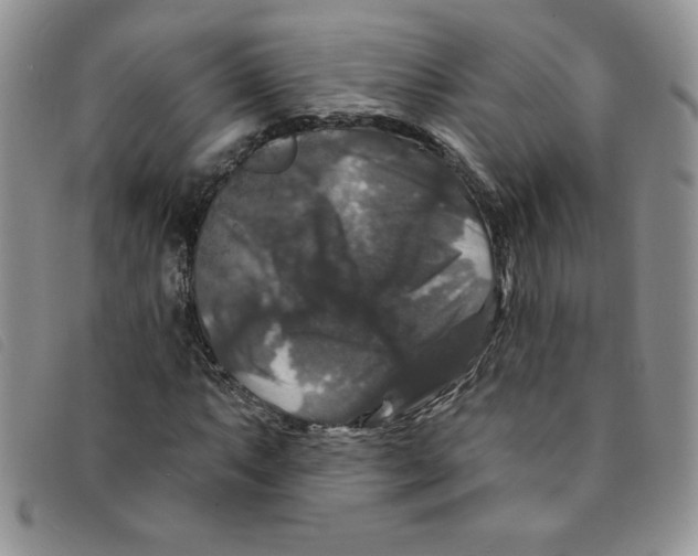 X0000095551063200801111449