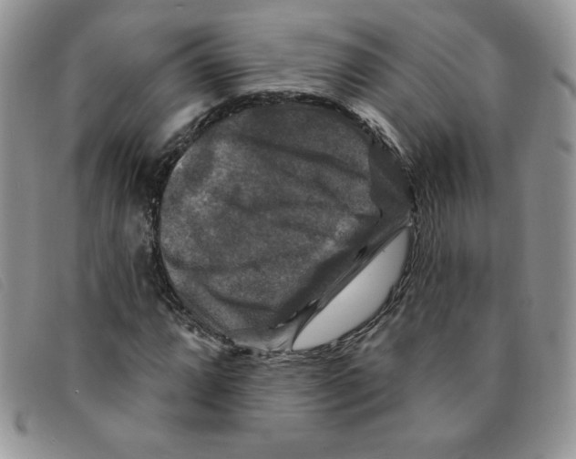 X0000095551064200801111449