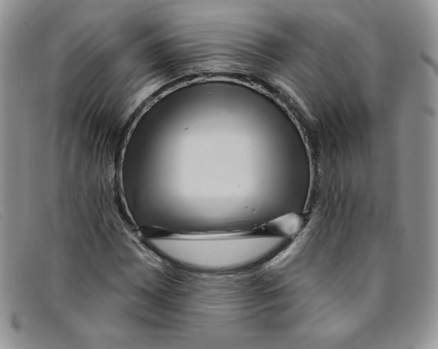 X0000095551065200801111449