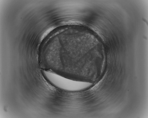 X0000095551066200801111449