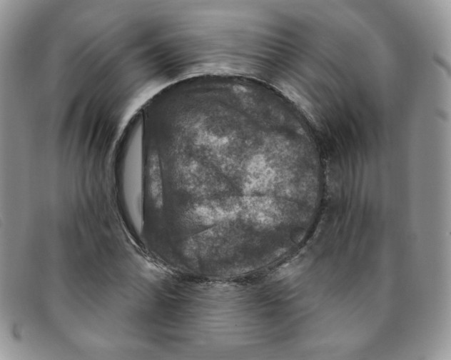 X0000095551070200801111449