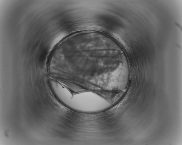 X0000095551071200801111449