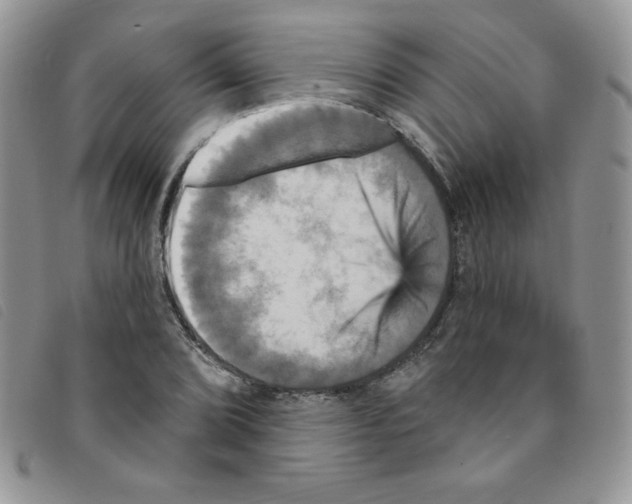 X0000095551072200801111448