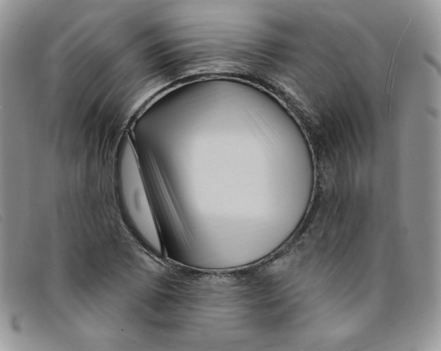 X0000095551073200801111448