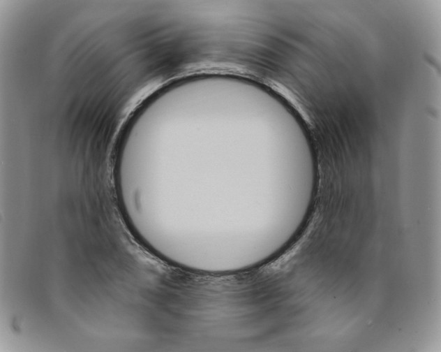 X0000095551074200801111448