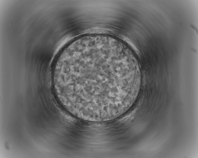 X0000095551075200801111448