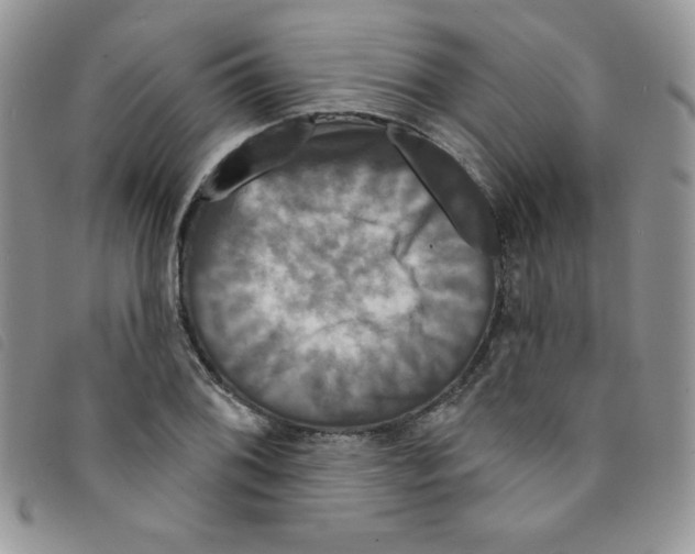 X0000095551076200801111448