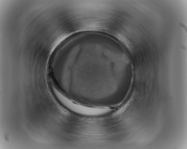 X0000095551077200801111448