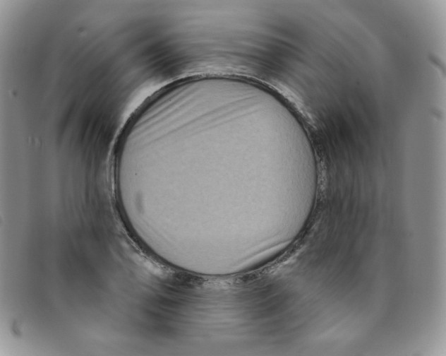 X0000095551078200801111448