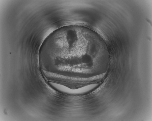 X0000095551079200801111448