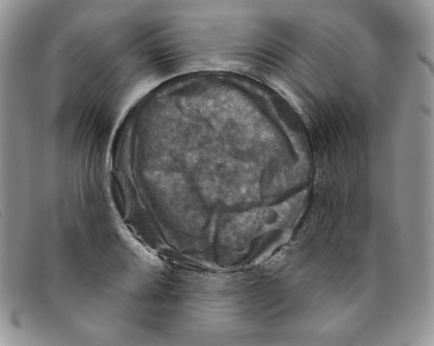 X0000095551080200801111448