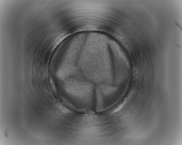 X0000095551081200801111448