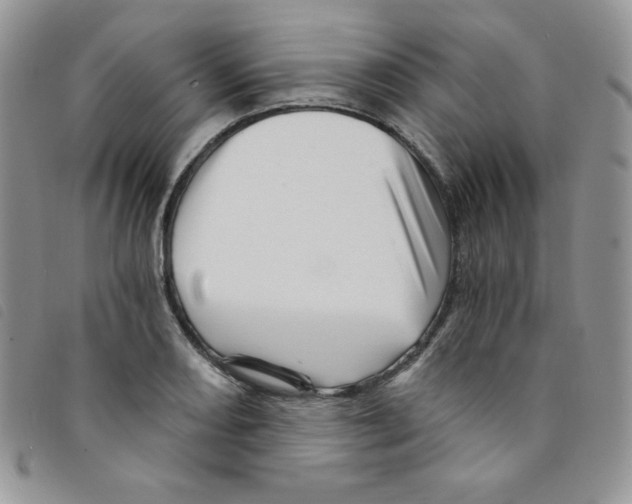 X0000095551082200801111448