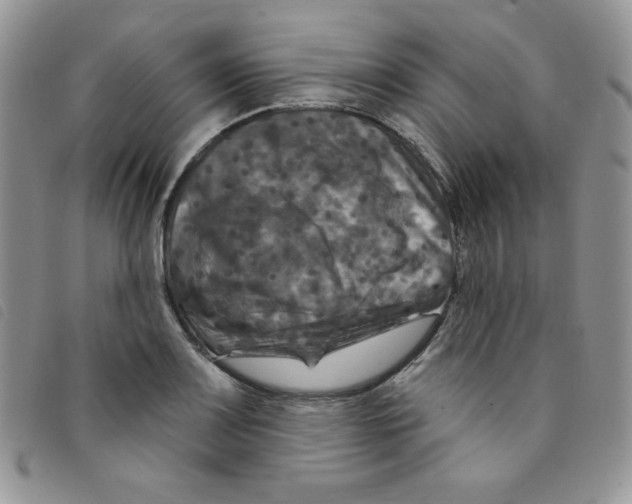 X0000095551083200801111448