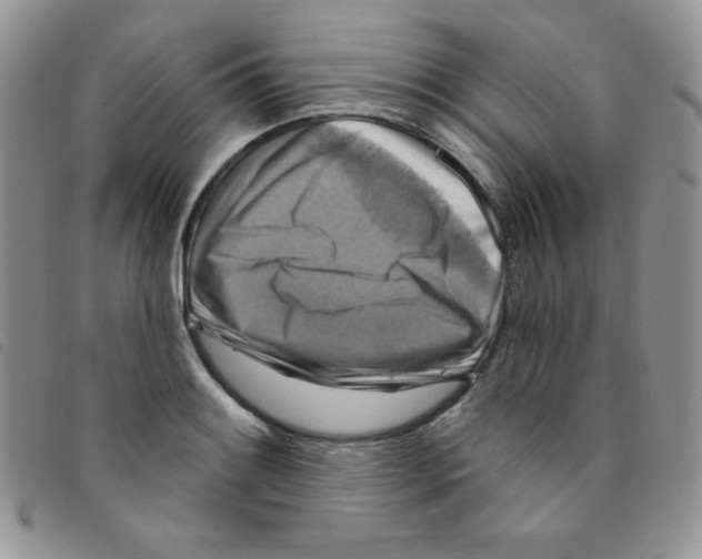 X0000095551084200801111448