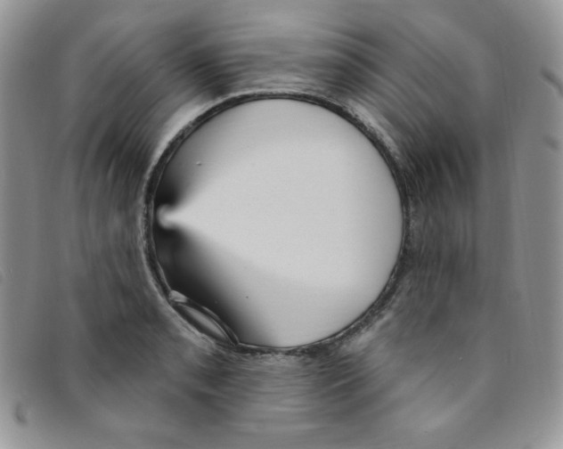 X0000095551085200801111448