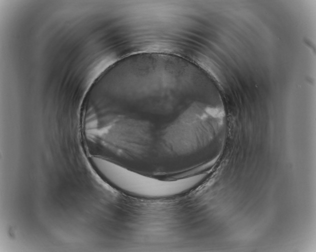 X0000095551087200801111448