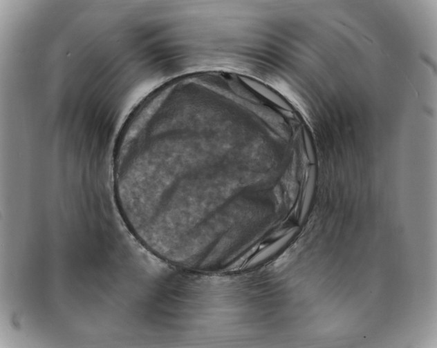 X0000095551088200801111448