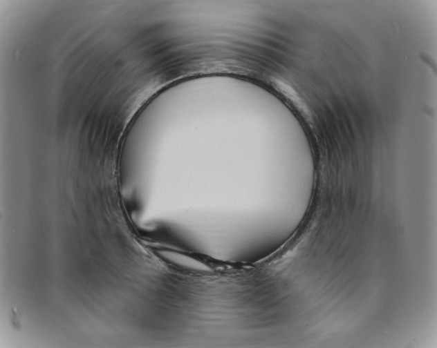 X0000095551089200801111448