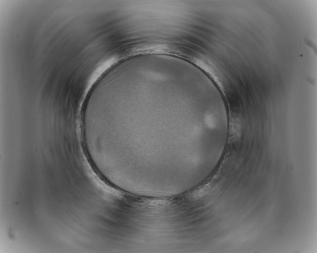 X0000095551090200801111448