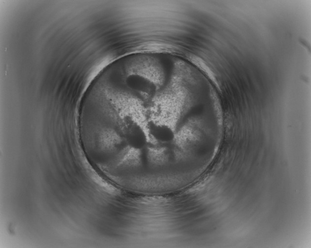 X0000095551091200801111448