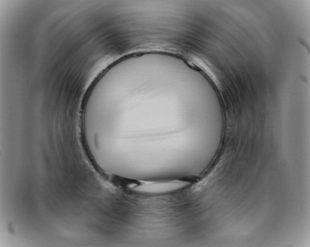 X0000095551093200801111448