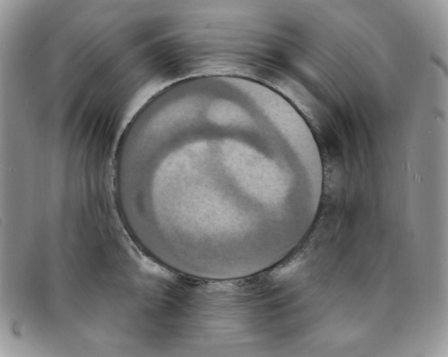 X0000095551094200801111448