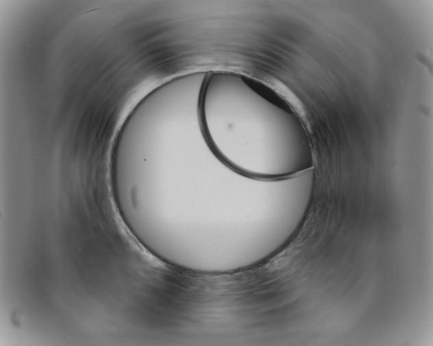 X0000095551096200801111448