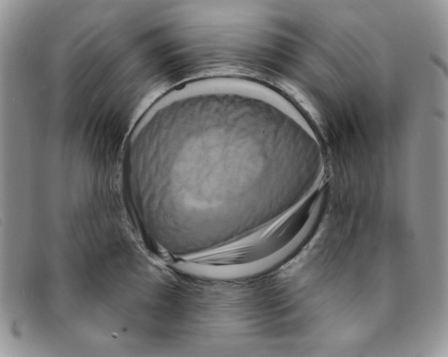 X0000095551097200801111448