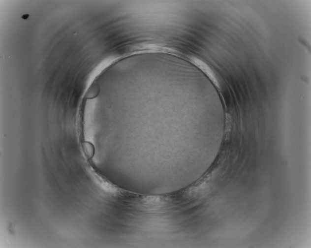 X0000095551098200801111448