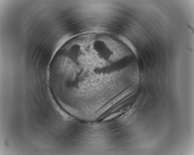 X0000095551099200801111448