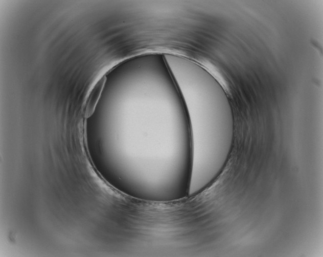 X0000095551100200801111448