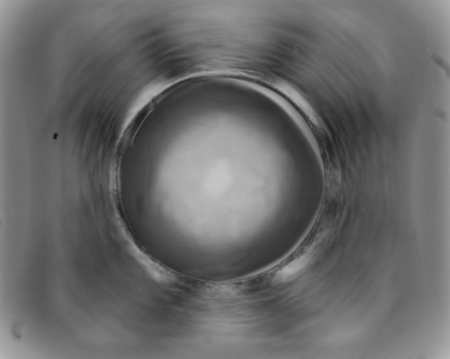 X0000095551101200801111448