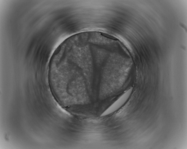 X0000095551102200801111448