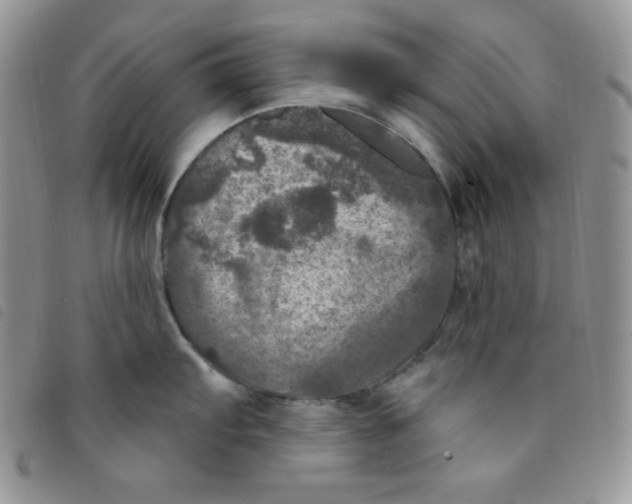 X0000095551103200801111448