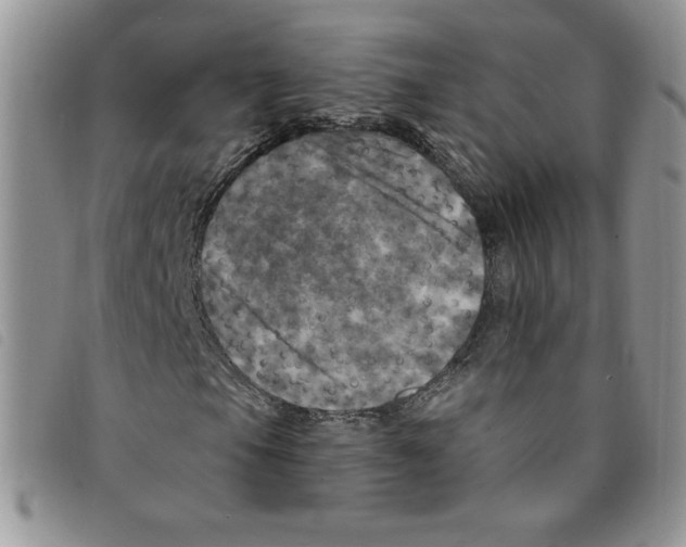 X0000095551105200801111447