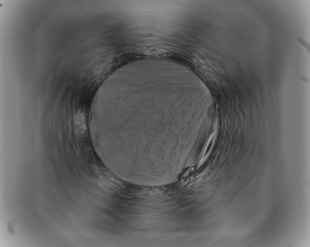 X0000095551106200801111447