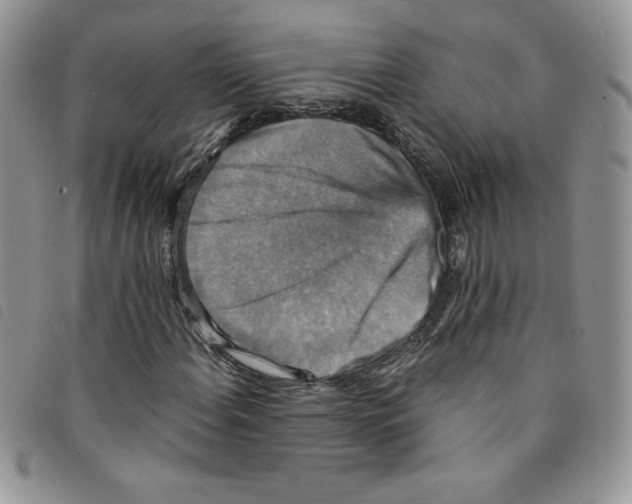 X0000095551108200801111447