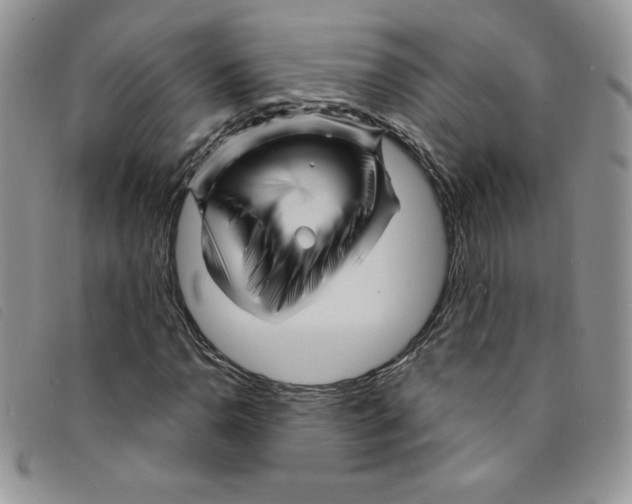 X0000095551110200801111447