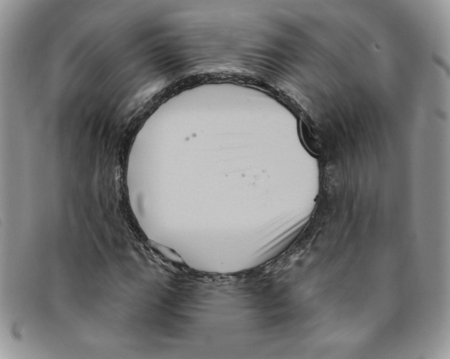 X0000095551111200801111447