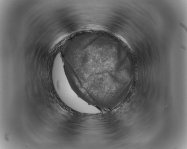 X0000095551112200801111447