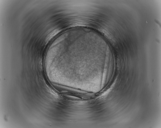 X0000095551113200801111447