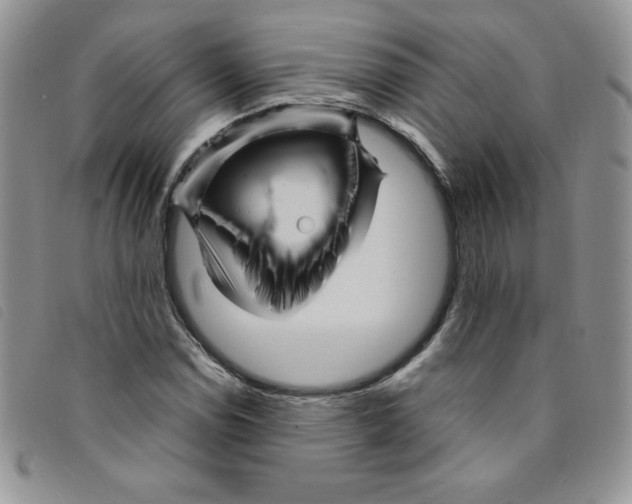 X0000095551114200801111447