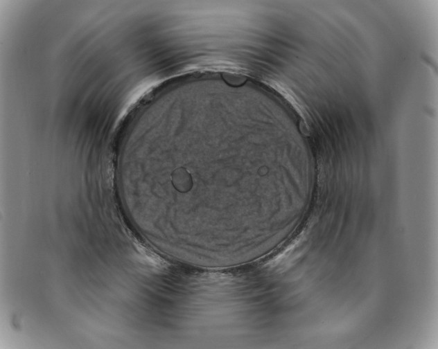 X0000095551115200801111447