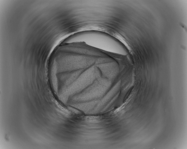 X0000095551116200801111447