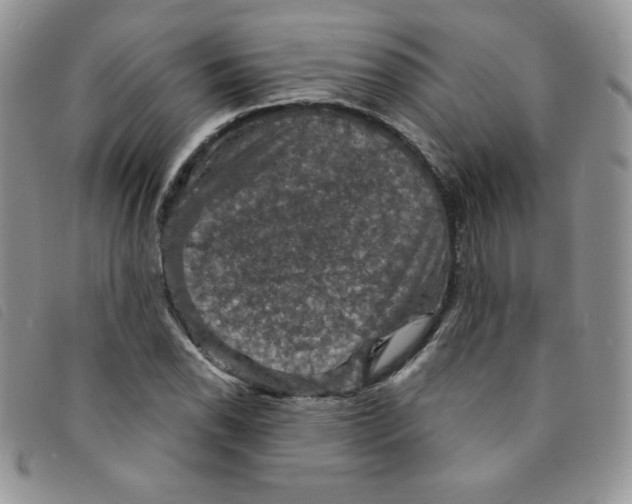 X0000095551118200801111447