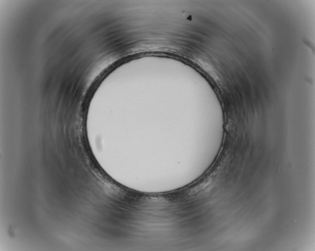 X0000095551119200801111447