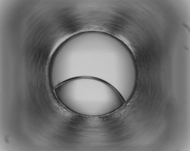 X0000095551120200801111447