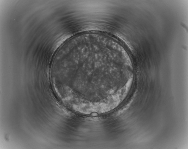 X0000095551121200801111447