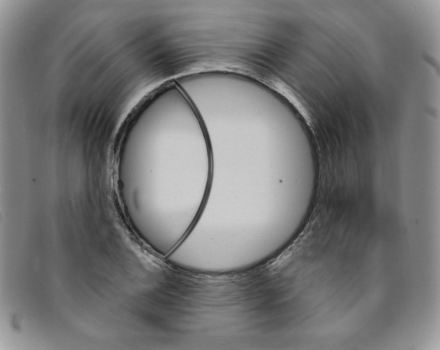 X0000095551124200801111447